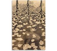 ZZYGGN GMGSW Estetica M.C. Escher Poster M.C. Escher Tre Mondi Tela di Canapa Arte Della Parete M.C. Escher Stampe Regali Pittura per Home Decor Immagine 60x80cmx1 Senza Cornice
