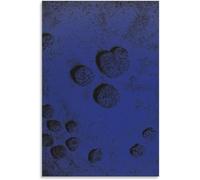 ZZYGGN GMGSW Yves Klein Stampe su tela Blu monocromatico Poster Astratto Arte Della Parete Yves Klein Pittura Quadro Moderno per Bagno Wall Decor 50x75cm Senza Cornice