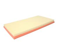 Filtro aria FILTRON AP 158/3